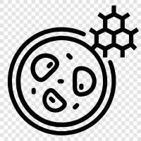 Biology, Science, Cell, Cell Membrane icon svg