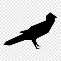 bird, feathered, flying, small icon svg