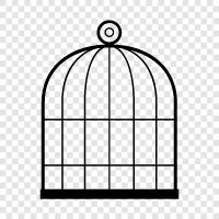 Bird Cage Stand, Bird Cage Covers, Bird Cage Litter, Bird icon svg