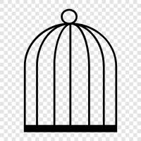 Bird Cage Supplies, Bird Cage Gallery, Bird Cage Home, Bird Cage icon svg