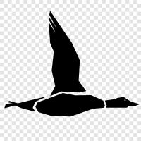 bird, nature, animal, water icon svg