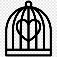 bird, animal, pet, confined icon svg