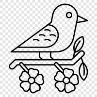 bird, pet, feed, house icon svg
