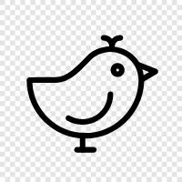 bird, song, behavior, ecology icon svg