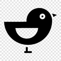 bird, song, black, white icon svg