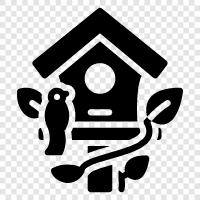 Birdhouses, Wooden Bird Houses, DIY Bird Houses, How to Make a ikon svg