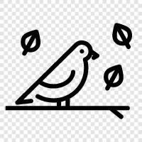 birdhouses, birds of a feather, Bird icon svg