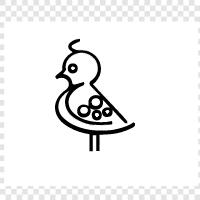 Birds, flight, flightless, animals icon svg