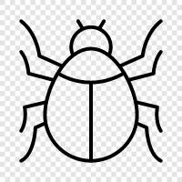 bite, rash, fever, insect icon svg