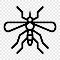 ısırık, hastalık, önleme, vektör Mosquito Isırık ikon svg