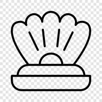 bivalve, mussel, oyster, seafood icon svg