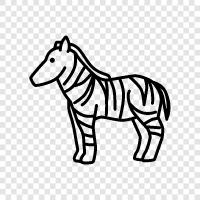 black and white, stripes, animals, animal prints icon svg