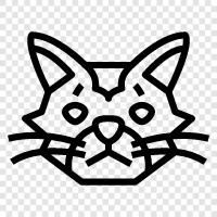 black and white cat, shorthair, long hair, domestic cat icon svg