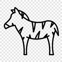 black and white, stripes, animals, wild icon svg