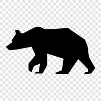 black, brown, cub, grizzly icon svg