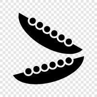 black beans, kidney beans, pinto beans, garbanzo beans icon svg