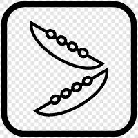 black beans, kidney beans, pinto beans, white beans icon svg