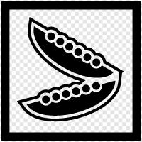 black beans, kidney beans, pinto beans, red kidney beans icon svg