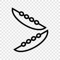 black beans, red beans, white beans, kidney beans icon svg