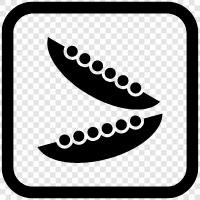 black beans, red beans, white beans, kidney beans icon svg