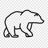 black bear, brown bear, grizzly bear, Kodiak bear icon svg