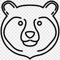 black bear, brown bear, grizzly bear, Kodiak bear icon svg