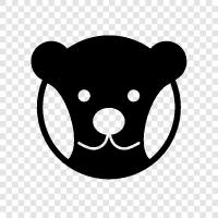 black bear, brown bear, grizzly bear, polar bear icon svg