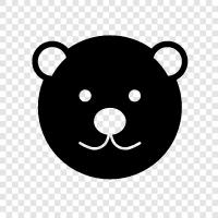 black bear, grizzly bear, brown bear, polar bear icon svg