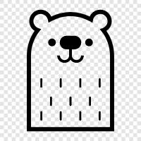 black bear, grizzly bear, brown bear, polar bear icon svg