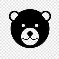 Black Bear, Brown Bear, Grizzly Bear, Polar Bear icon svg