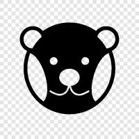 black bear, brown bear, grizzly bear, polar bear icon svg