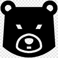 Schwarzbär, Grizzlybär, Braunbär, Eisbär symbol