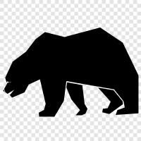 black bear, brown bear, grizzly bear, polar bear icon svg