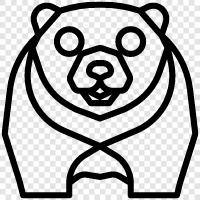 black bear, brown bear, grizzly bear, Kodiak bear icon svg