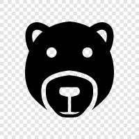 Black Bear, Brown Bear, Grizzly Bear, Polar Bear icon svg