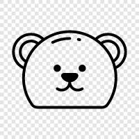 black bear, brown bear, grizzly bear, polar bear icon svg