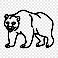 black bears, brown bears, grizzly bears, Kodiak bears icon svg