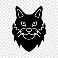 black cat, black cat black, black cat pictures, black cat videos icon svg