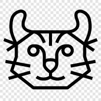 black cat, white cat, Siamese cat, highlander cat icon svg