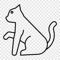 black cat, white cat, tabby cat, tortoiseshell cat icon svg