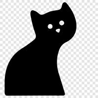 black cat pictures, black cat icon svg