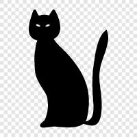 black cat pictures, black cat name, black cat meaning, black cat images icon svg