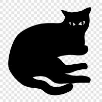 black cats, felines, animal, pet icon svg