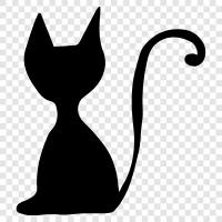 black cats, black kitty, black cat pictures, black cat pictures of icon svg