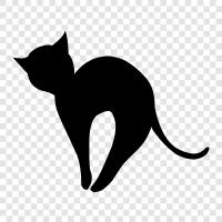 black cats, black cat pictures, black cat images, black cat pictures online icon svg