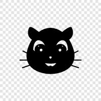 black cats, black cat pictures, black cat pictures of, black cat icon svg