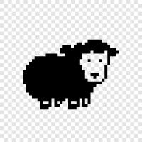 black sheep, black fleece, black wool, black ewe icon svg