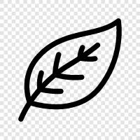 blade, leaf icon svg