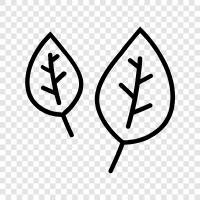 Klinge, Blütenblatt, Stiel, Rand symbol