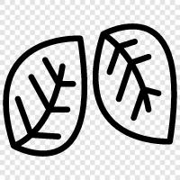 Klinge, Klingenlänge, Klingenbreite, Form symbol